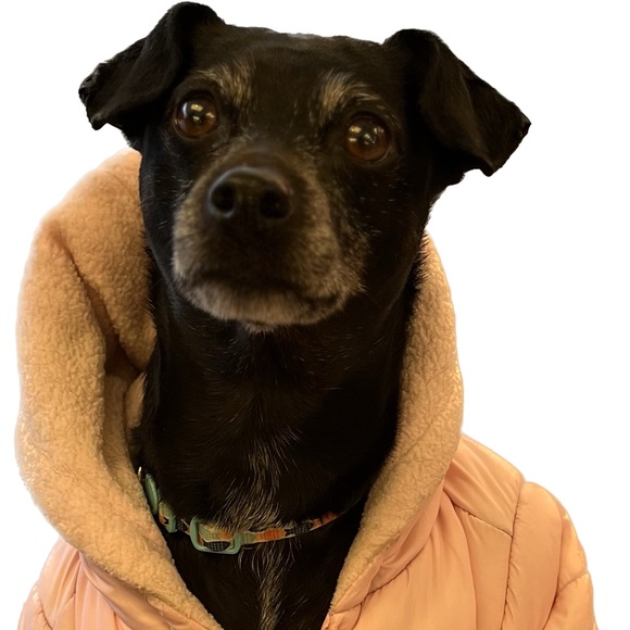 Meet your Posher, Mary - Picture 1 of 1